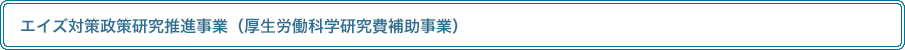 エイズ対策政策研究推進事業（厚生労働科学研究費補助事業）