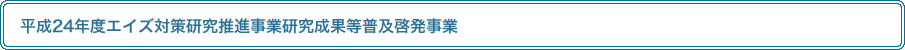 平成24年度エイズ対策研究推進事業研究成果等普及啓発事業